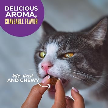 Tiki Cat Soft & Chewy Cat Treats, Chicken Flavor, 6 oz. Pouch