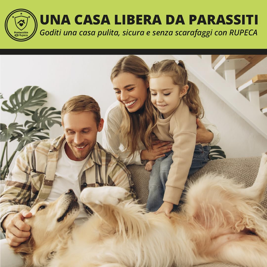 Trappole Scarafaggi Adesive 21 Pezzi Senza Tossici Trappola Blatte Interno Professionale Controllo Insetti Casa Cucina Bagno Sicuro Discreto Duraturo Alta Efficacia Senza Veleno Per Famiglia | RUPECA