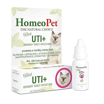 Natural Cat Remedies for Urinary Tract Infection: Effective & Safe Solutions