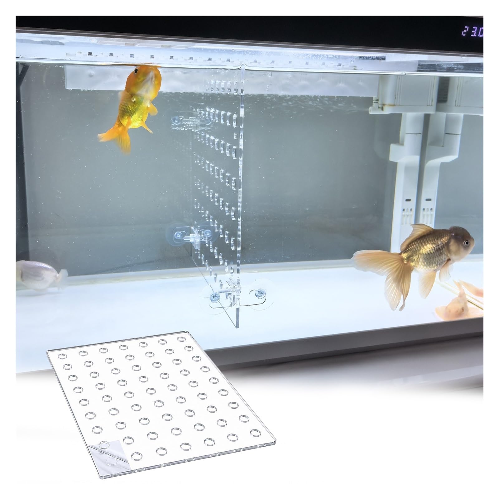 Divisor De Acuario De Acrílico Transparente con Ventosas, Panel Separador De Peceras 5mm para Circulación De Agua, Aislador De Alevines Y Peces Heridos(50x60cm)