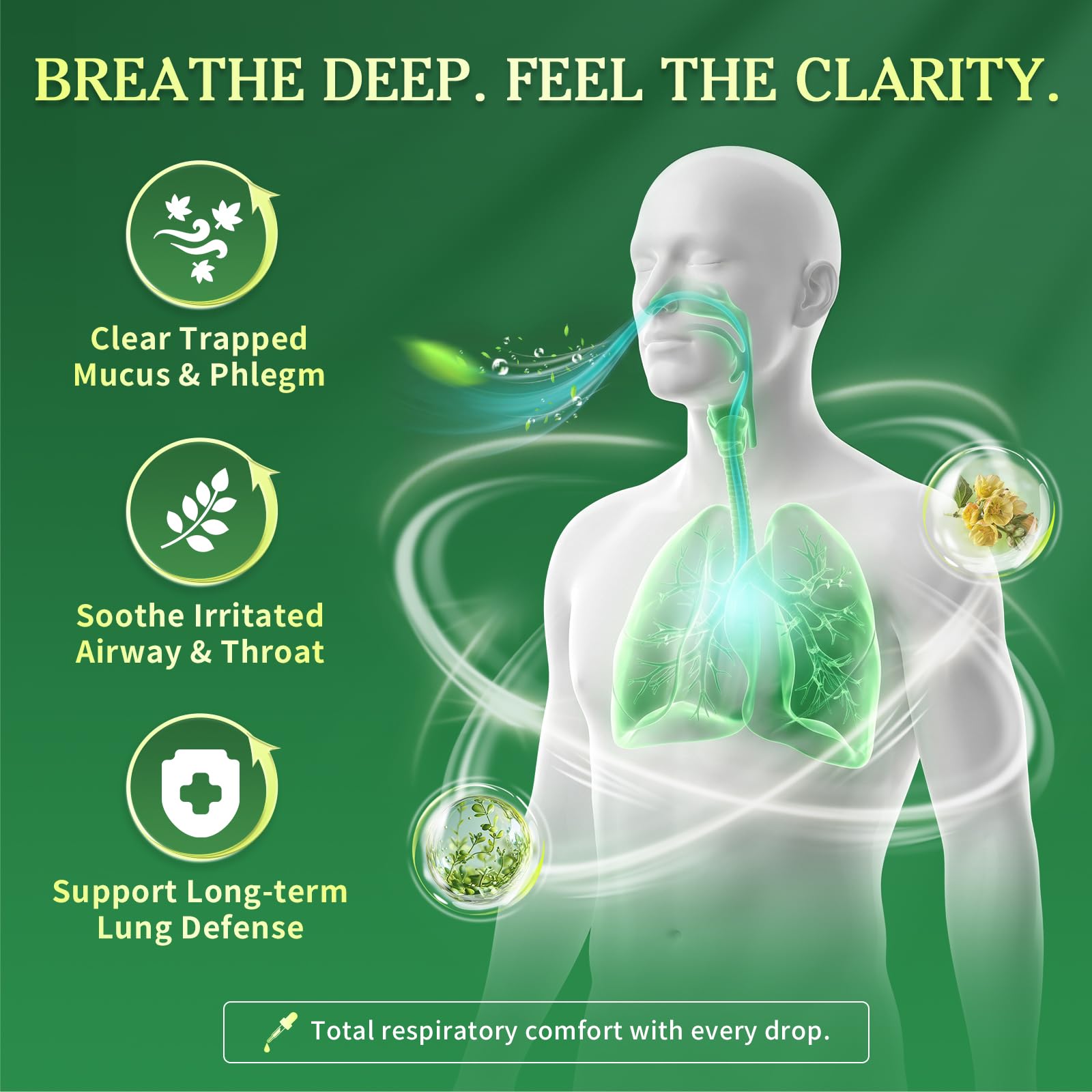 Mullein Drops for Lungs, Alchol-Free Lung Detox with Chlorophyll - 2 oz — Amazon image 4