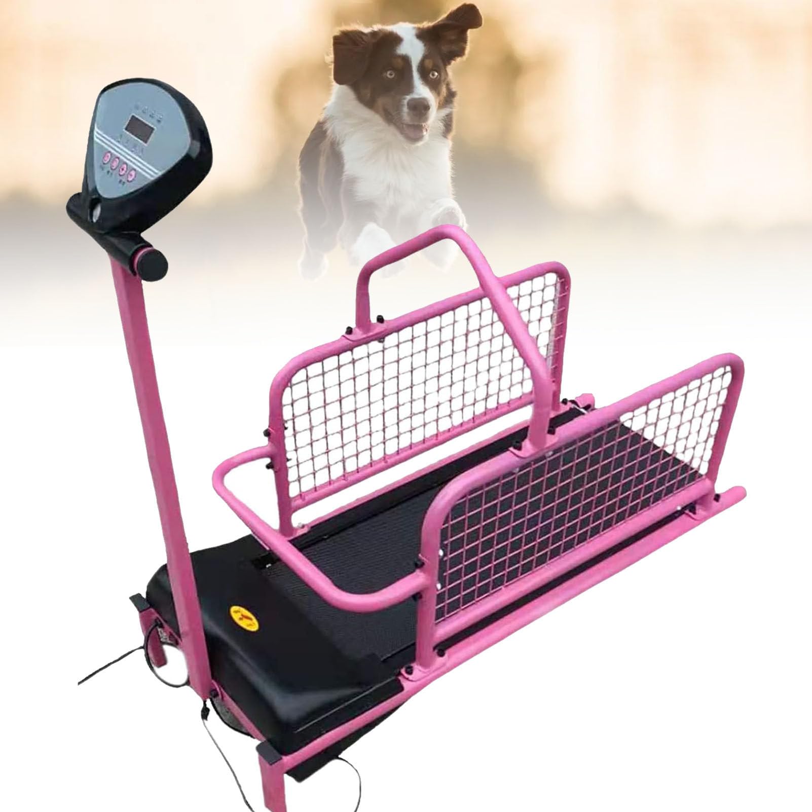 Tapis roulant pour chien pour l'entraînement en plein air en intérieur par tous les temps