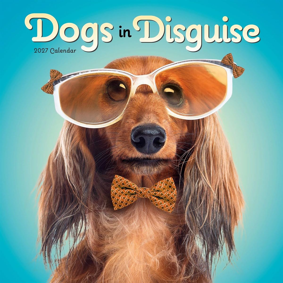 Carousel Worldwide Dogs in Disguise 2027 Square Wall Calendar, 12-Month Calendar, Humorous Dog Costume Photography