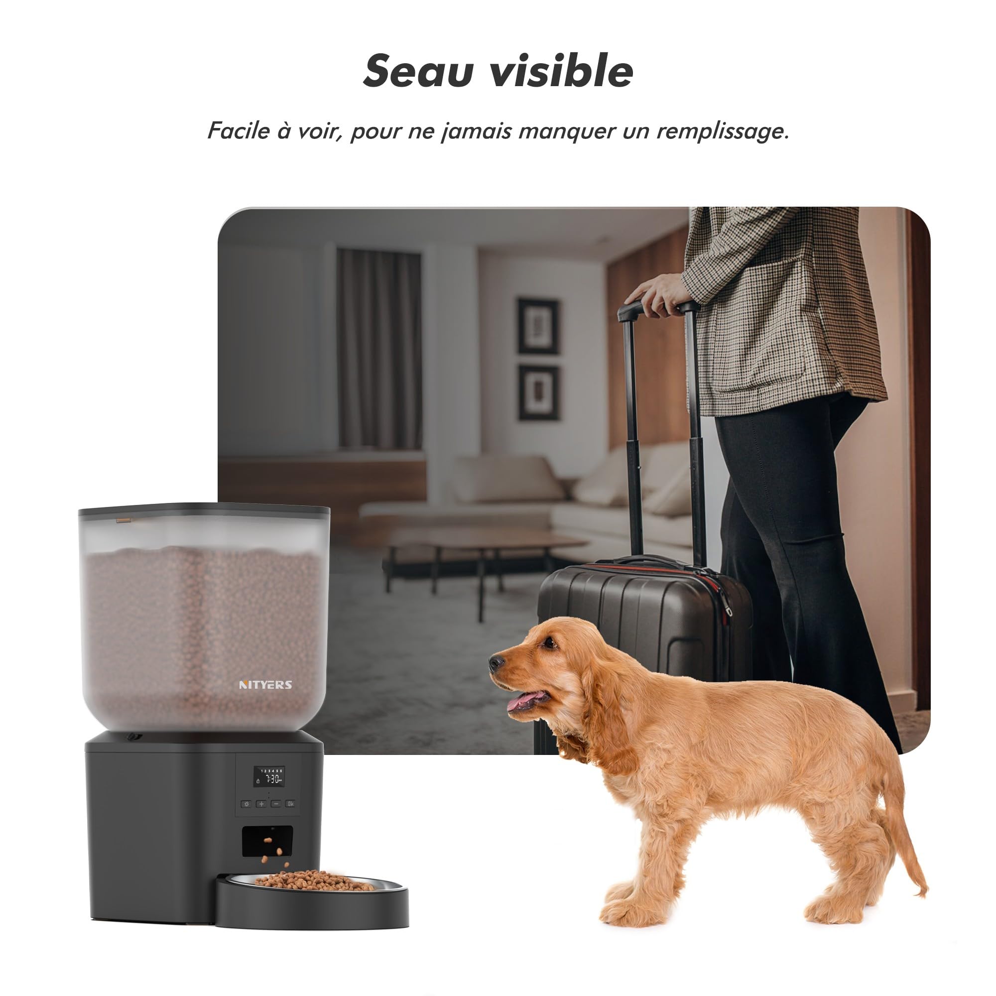 Distributeur Croquettes Chat et Chien Automatique, 8L Grande Capacité, 1-6 Repas par Jour, avec Cuve en Acier Inoxydable, Enregistreur Vocal 10s