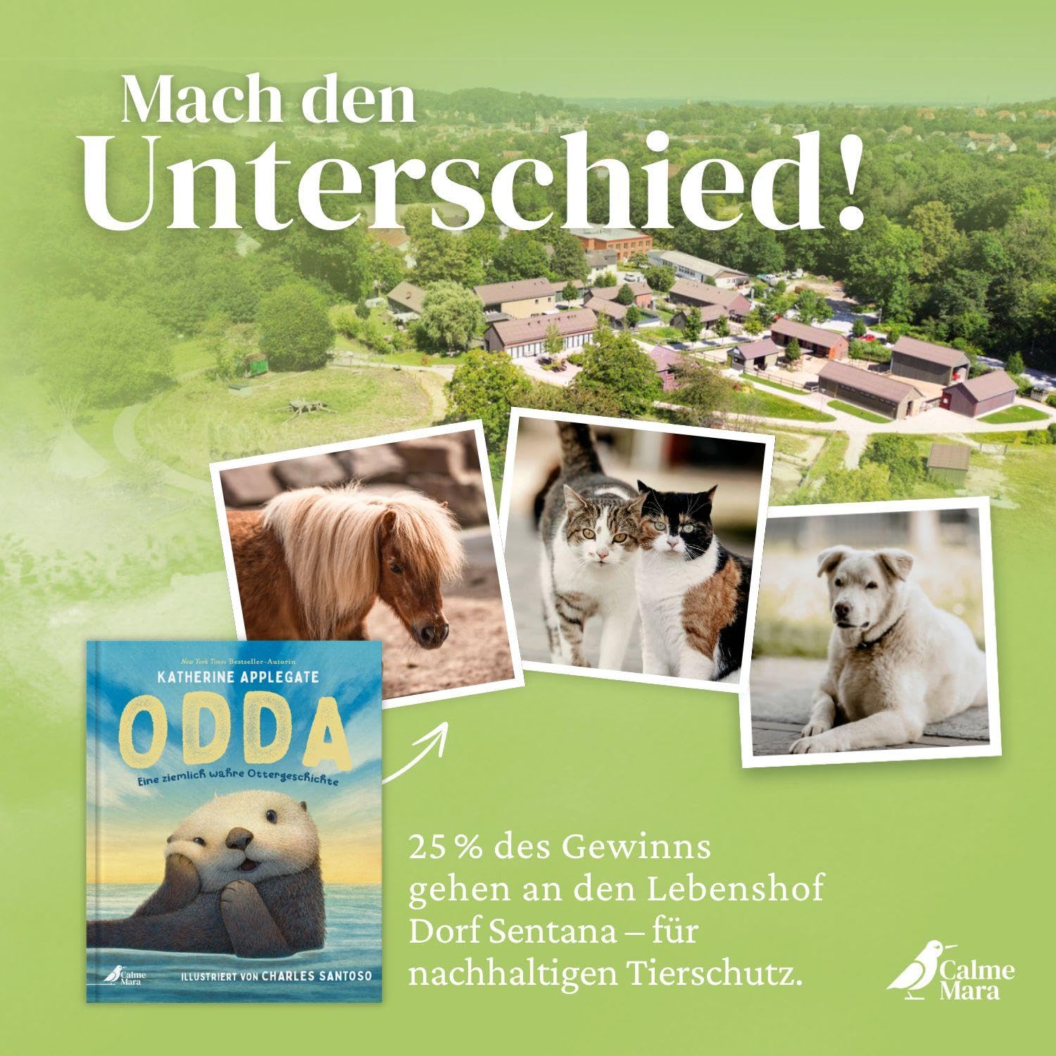Odda: Die Bilderbuch-Geschichte eines geretteten Seeotters für Kinder ab 5 von Bestsellerautorin Katherine Applegate