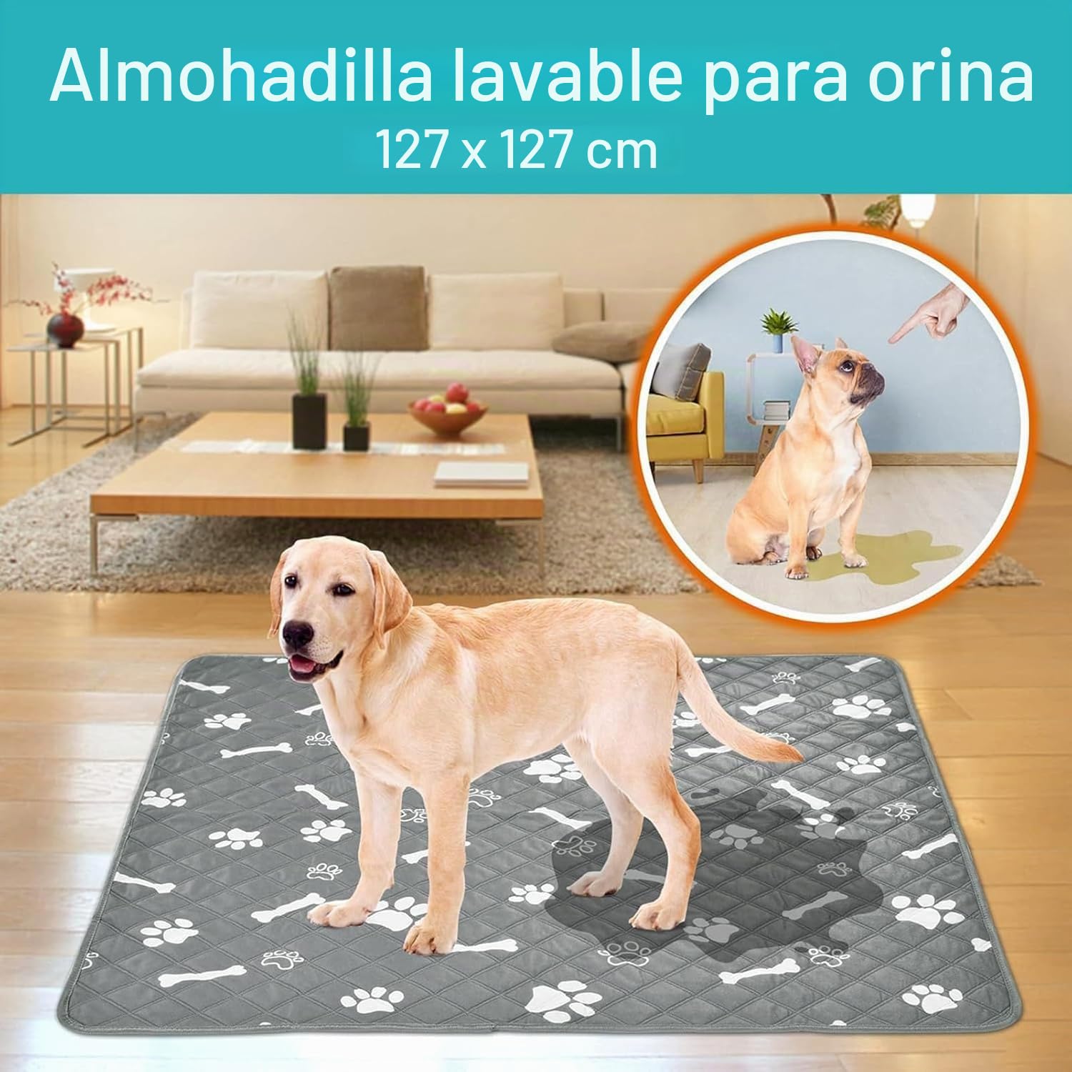 Caja de parto para perros y cachorros | Corral de parto con rieles para perros grandes, medianos y pequeños (50 x 50 pulgadas)