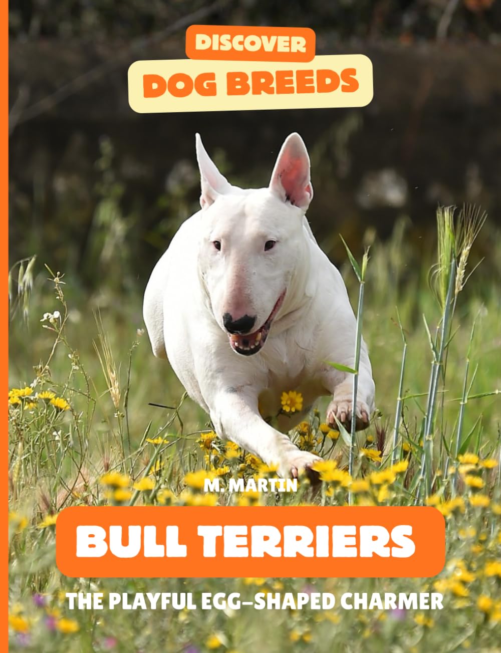 Bull Terriers: The Playful Egg-Shaped Charmer (Discover Dog Breeds)