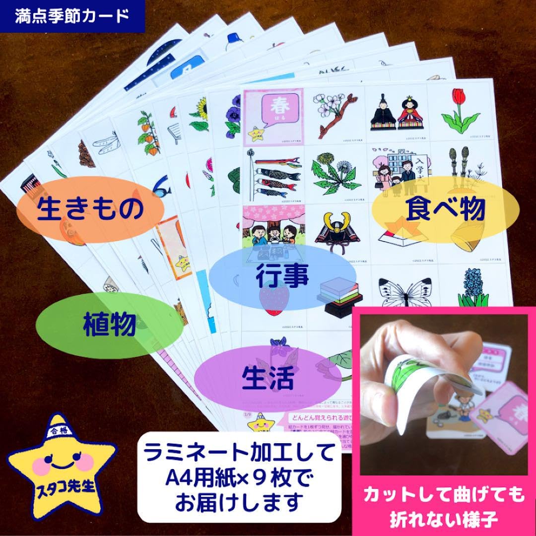 小学校受験 カード お風呂ポスター 季節 動物 野菜 果物 理科的常識 Amazon.co.jp: 小学校受験 お風呂ポスター カード 季節 野菜 果物 理科