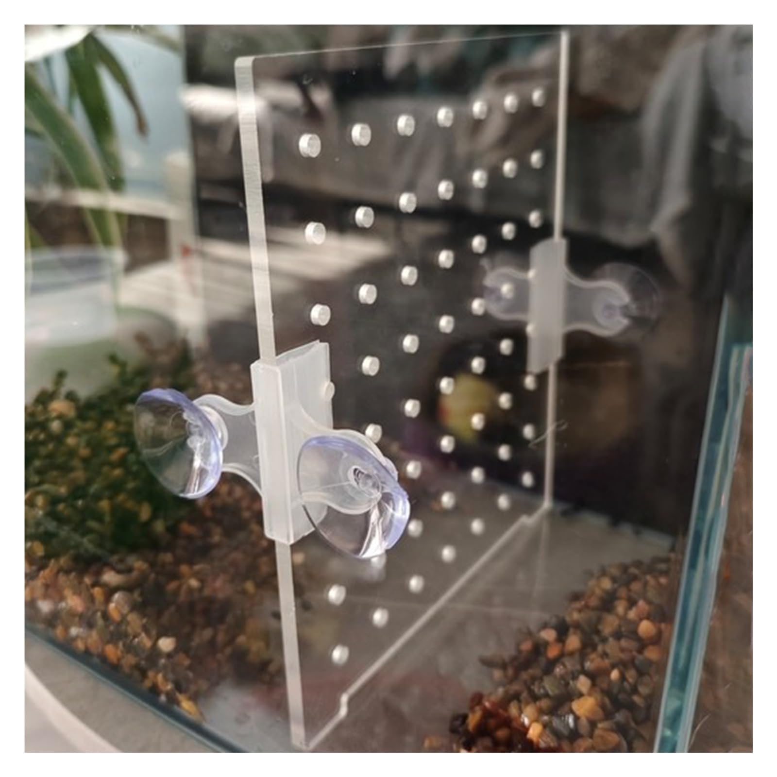 Errulan I Pattern Fish Tank Separator, Acrylic Aquarium Isolation Grid Plate With Suction Cup/Fish Tank Aquarium Accessories, Large Aquarium Fish Tank Divider Clear Kit For Fry(,55X60cm/21.6X23.6in)