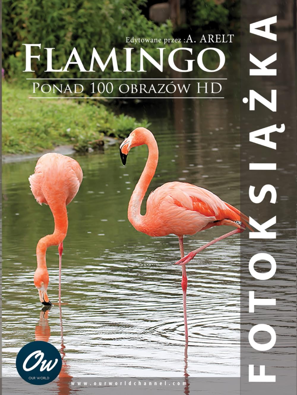 Livre photo Flamingo personnalisé album de vos meilleurs souvenirs