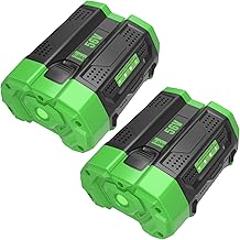 2 Packs 56 Volt Lithium ion Battery BA2800T Replacement for EGO 56V Battery 5000mAh