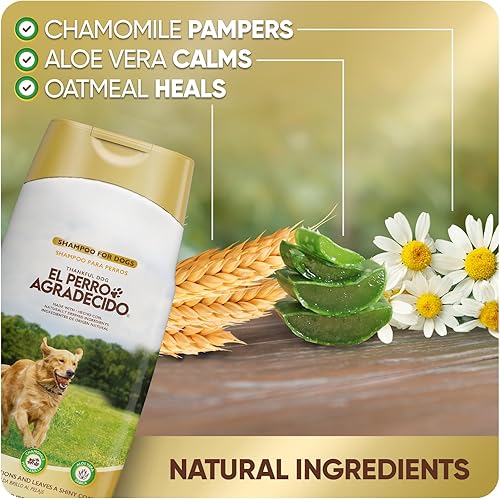 Miniatura 4 de Champú de avena, champú para perros, piel sensible, condiciones, capa brillante, ingredientes naturales, paquete de 2, 13.5 onzas líquidas cada uno,