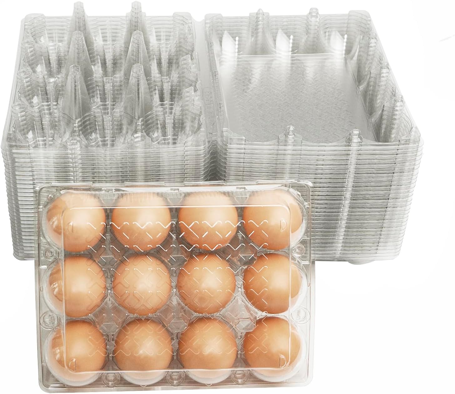 BULKBUY Egg Cartons 60 Packs, Clear Plastic Blank Egg Cartons With Free Labels, Holds Up To 12 Eggs Securely, Perfect For Family Pasture Farm Markets Display - Medium