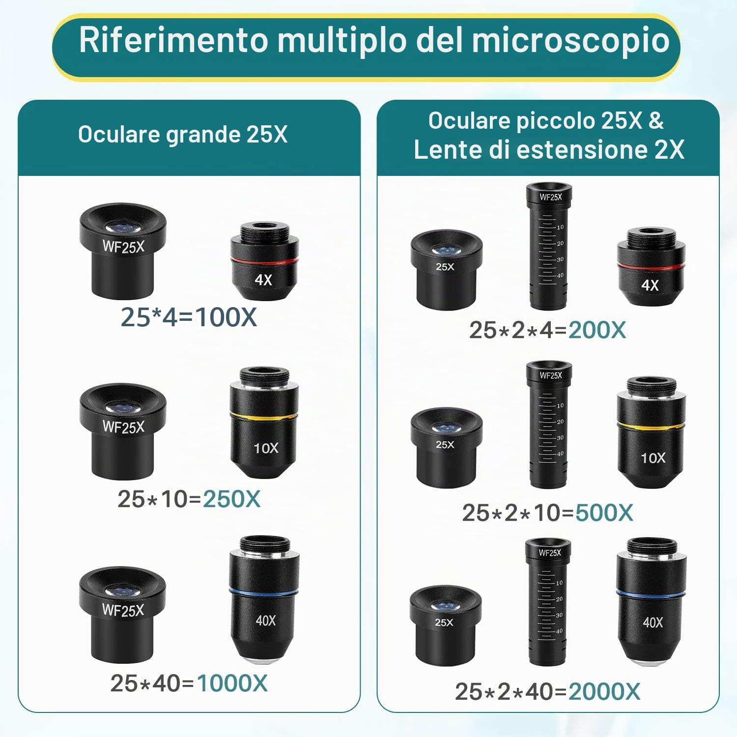 MAXLAPTER Microscopio 2000x a LED con righello mobile - Ottica da laboratorio con lame preparate e vergini - Adattatore per lenti