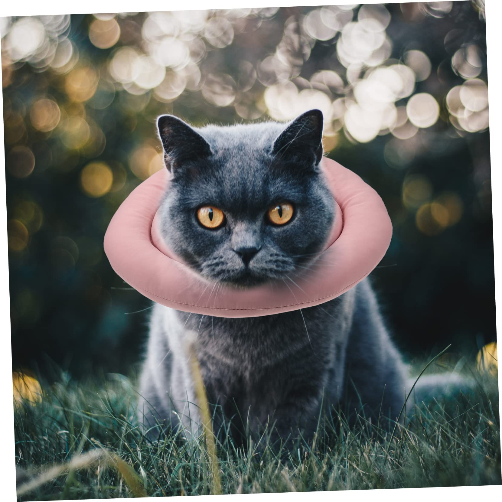 INOOMP 3pezzi Collare Protettivo Per Gatti Collare Di Per Cani e Gatti Comodo Per Post-operazione e Ferite Non Ostacola La Vista Facile Da Indossare