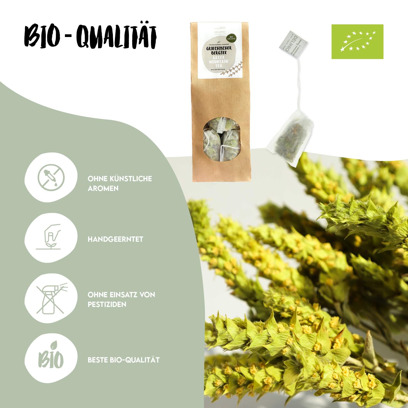 DELINIO Griechischer Bergtee Sideritis Scardica Bio - 10er-Pack (100 Teebeutel, je 2 g) - ergiebig: 1 Beutel bis 1 L - handgeerntet in Griechenland, ohne Zusätze, koffeinfrei - heiß oder als Eistee