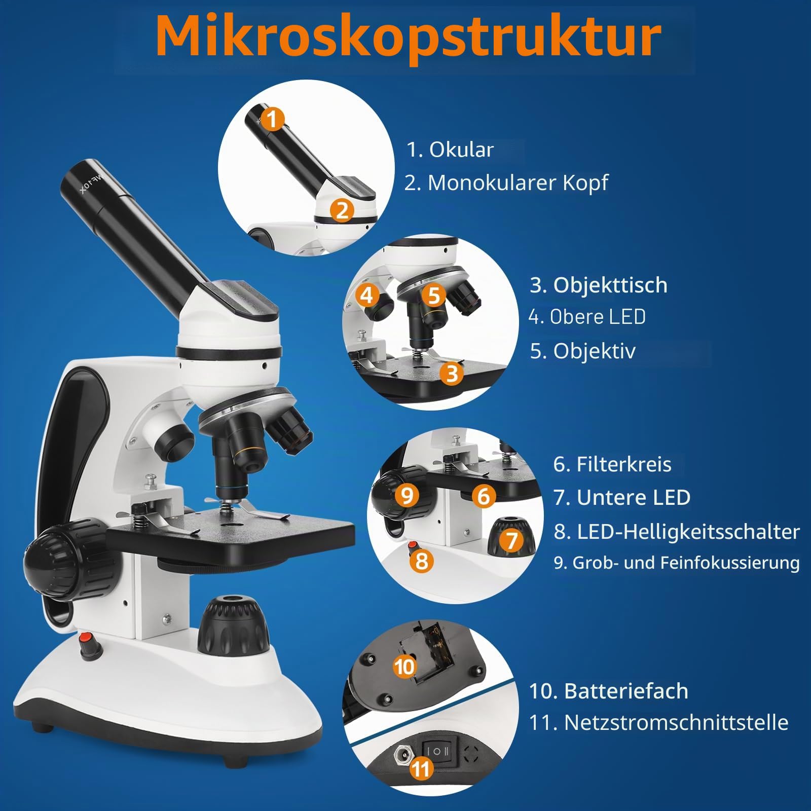 BEBANG Mikroskop für Kinder Studenten Erwachsene 40–2000x Vergrößerung Professionelle Biologische Mikroskope,LED-Beleuchtung bildungstechnisches Mikroskop mit Kits,15 Dias für Labor-Klasse Studie