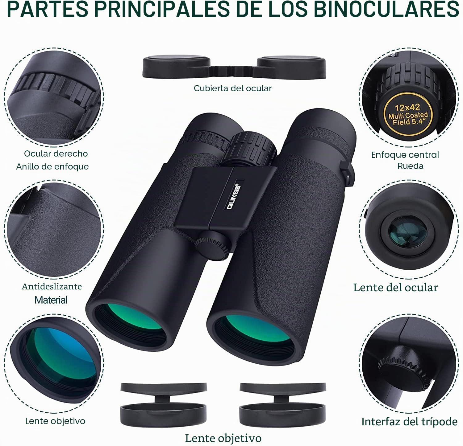 Prismáticos 12x42 con Adaptador Móvil para Adultos y Animales | Prisma BAK4 y FMC para una Visión Clara y Nítida en Aves, Viajes y Teatro