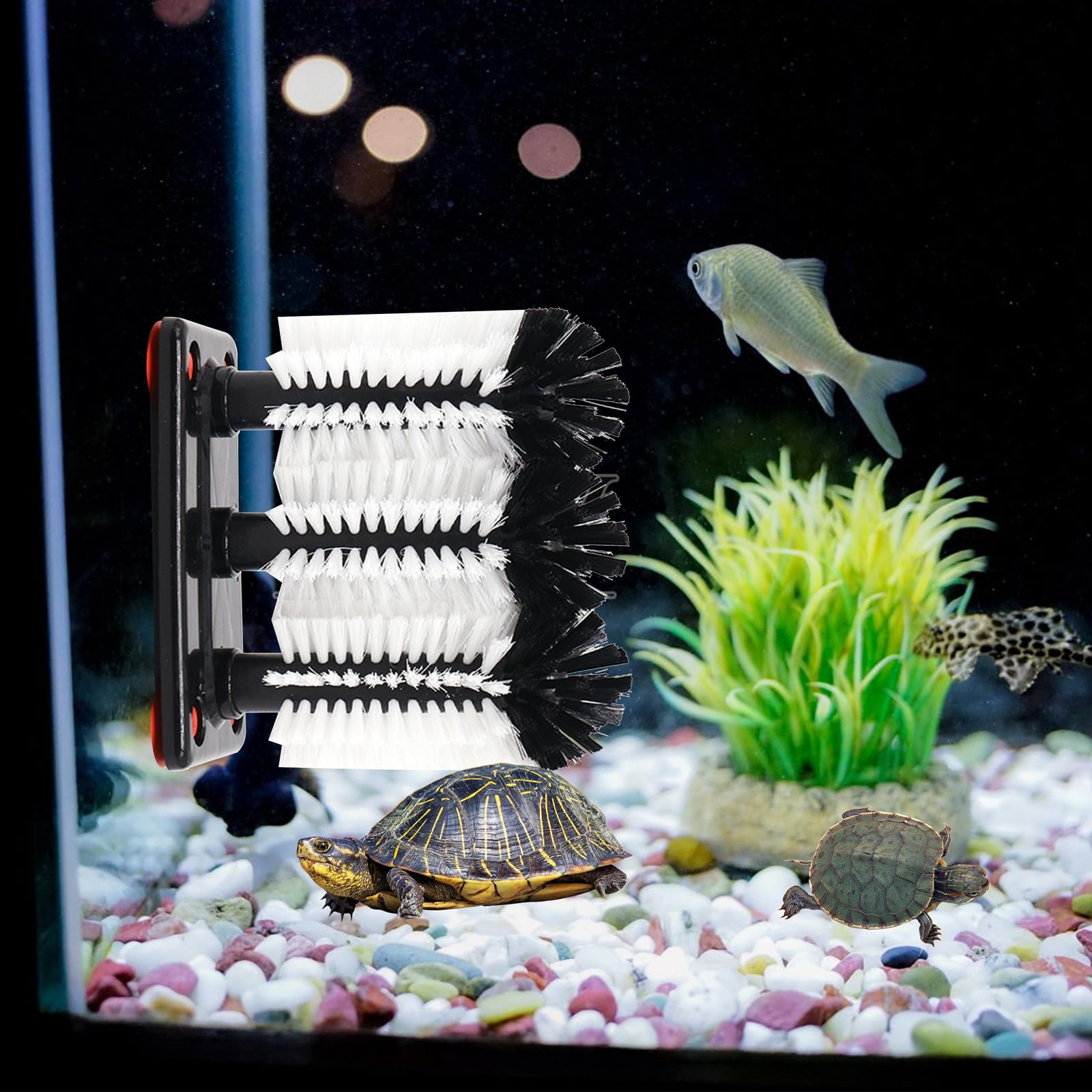 Schildkröten Bürste Mit Saugnapf - Panzerreinigung & Massage Für Aquarien