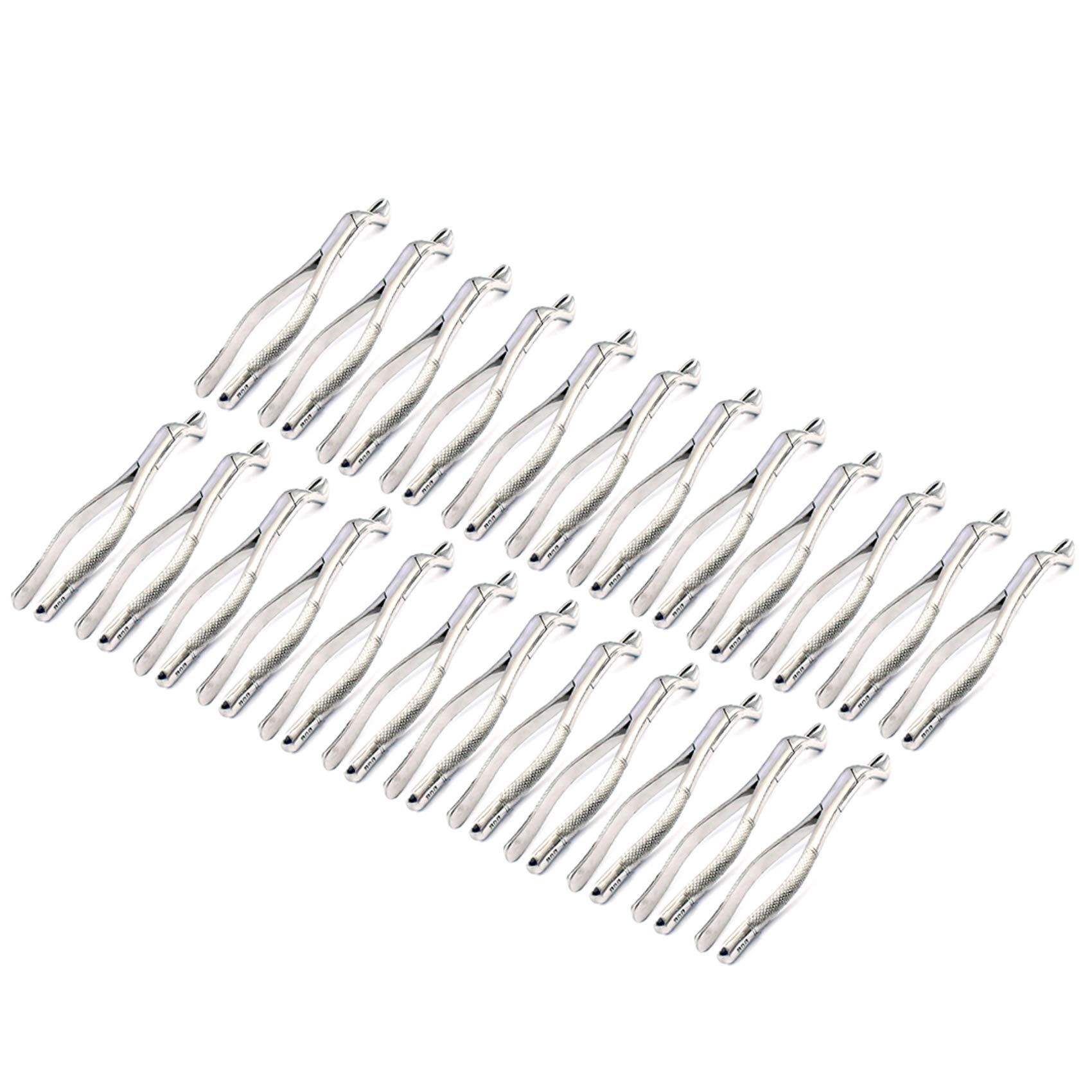 OdontoMed2011® Set Of 24 Dental Extracting Forceps #88R Dental Extraction Instruments ODM