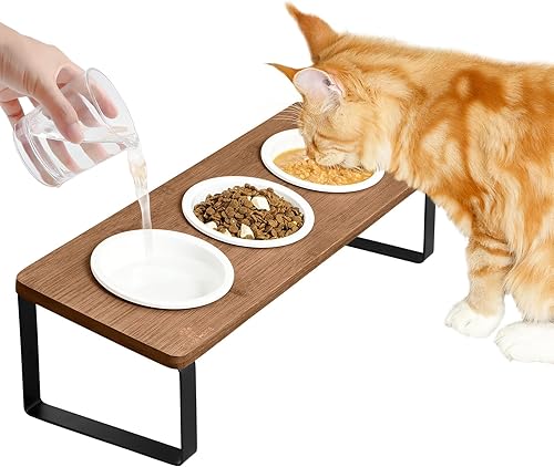 Sunhoo Juego de 3 platos elevados de cerámica inclinados para gatos de interior, soporte ortopédico de comida para mascotas, reduce el vómito, 3