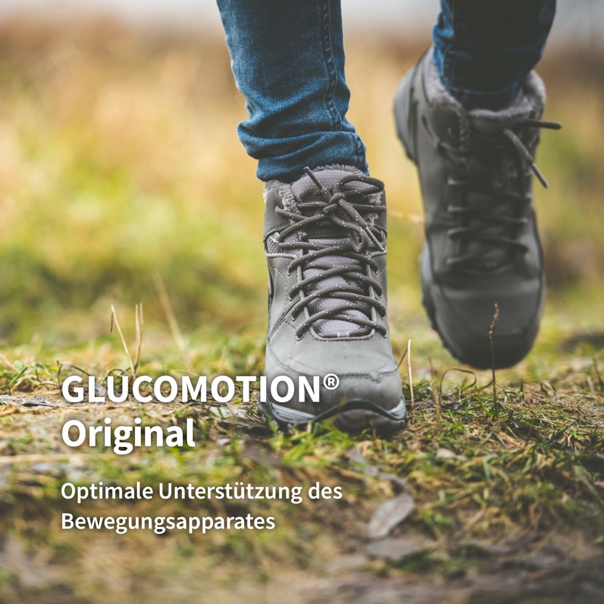 Glucosamin GlucoMotion® Original