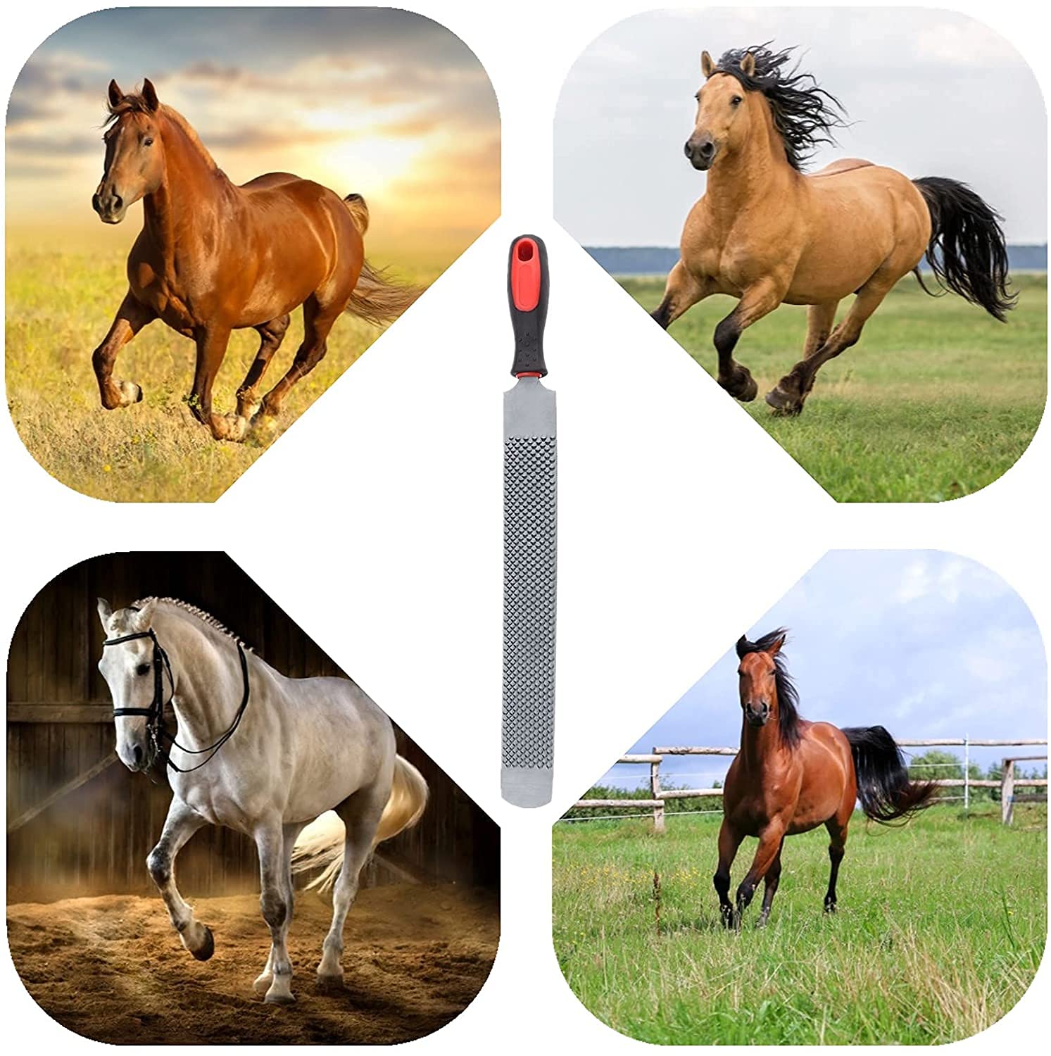 Zerodis Herramientas de Corte de pezuña Raspador de pezuña de Doble Cara Archivo de pezuña de Caballo Cuidado de pezuñas para Caballos Herramienta Profesional de herrador
