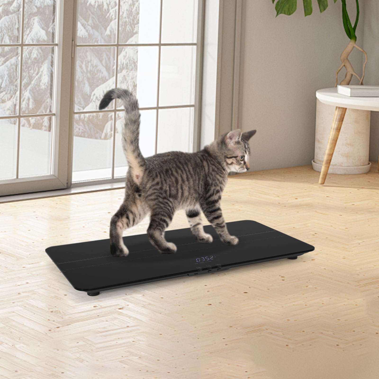 Hundewaage bis 100kg Tierwaage 10 g Genauigkeit große Plattform LED-Anzeige Tara-Funktion Schwarz