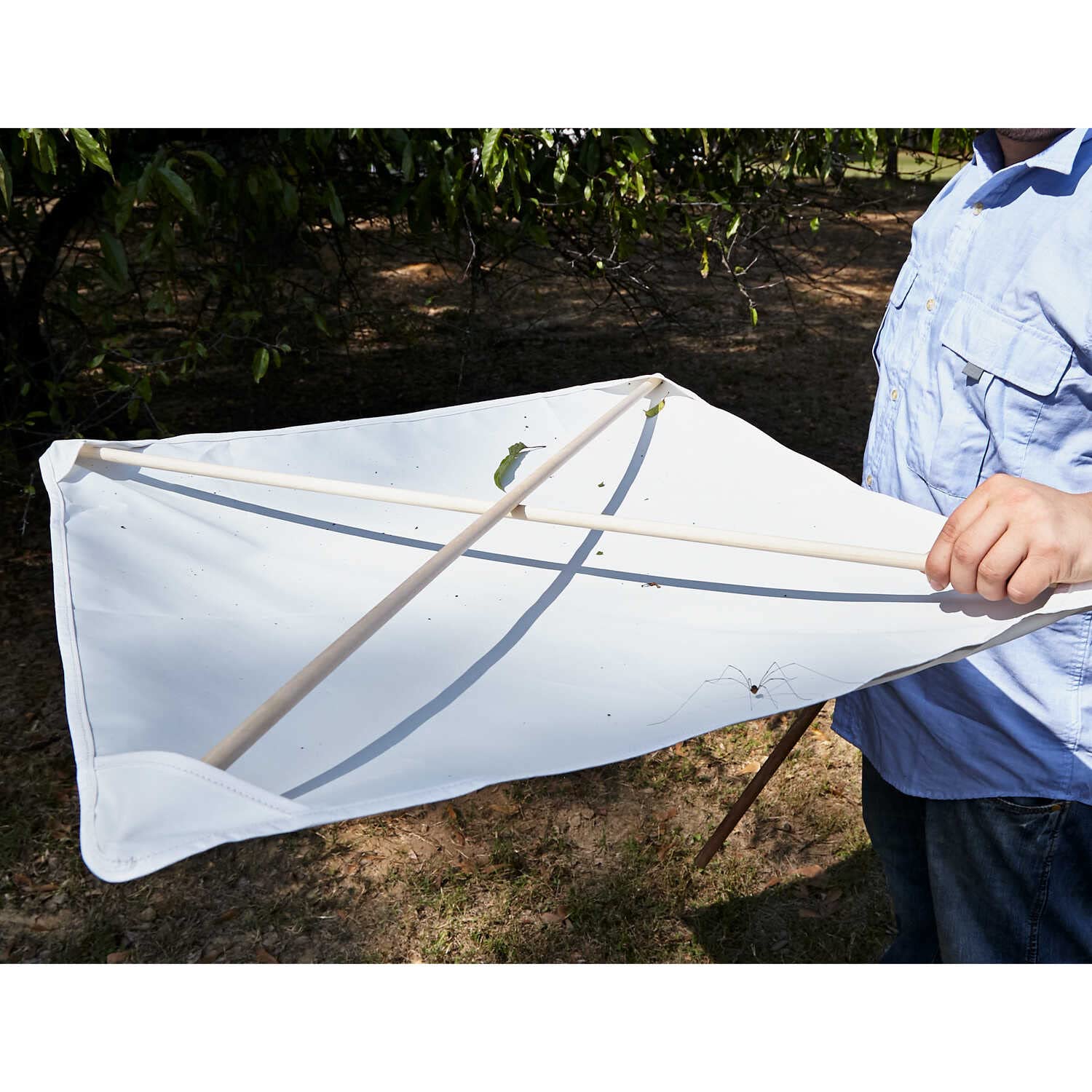 Forestry Suppliers Beating Sheet, 28? x 28?