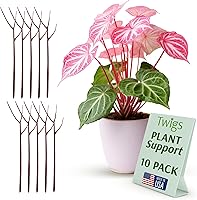 Vista 14 de Estacas apilables de soporte para plantas Monstera, soporte de escalada para uso en interiores y exteriores, accesorios para plantas, alternativa