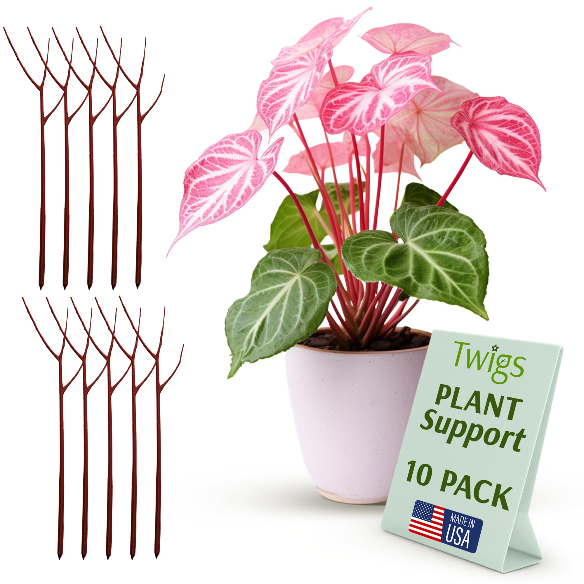 Twigs GA - Plant Support Stakes, Stem Holder Structures for Indoor & Outdoor Use, Garden Accessories for Climbing & Potted Plants, Trellis Alternative - Begonia Red, 10 Pack, 22" L, Original