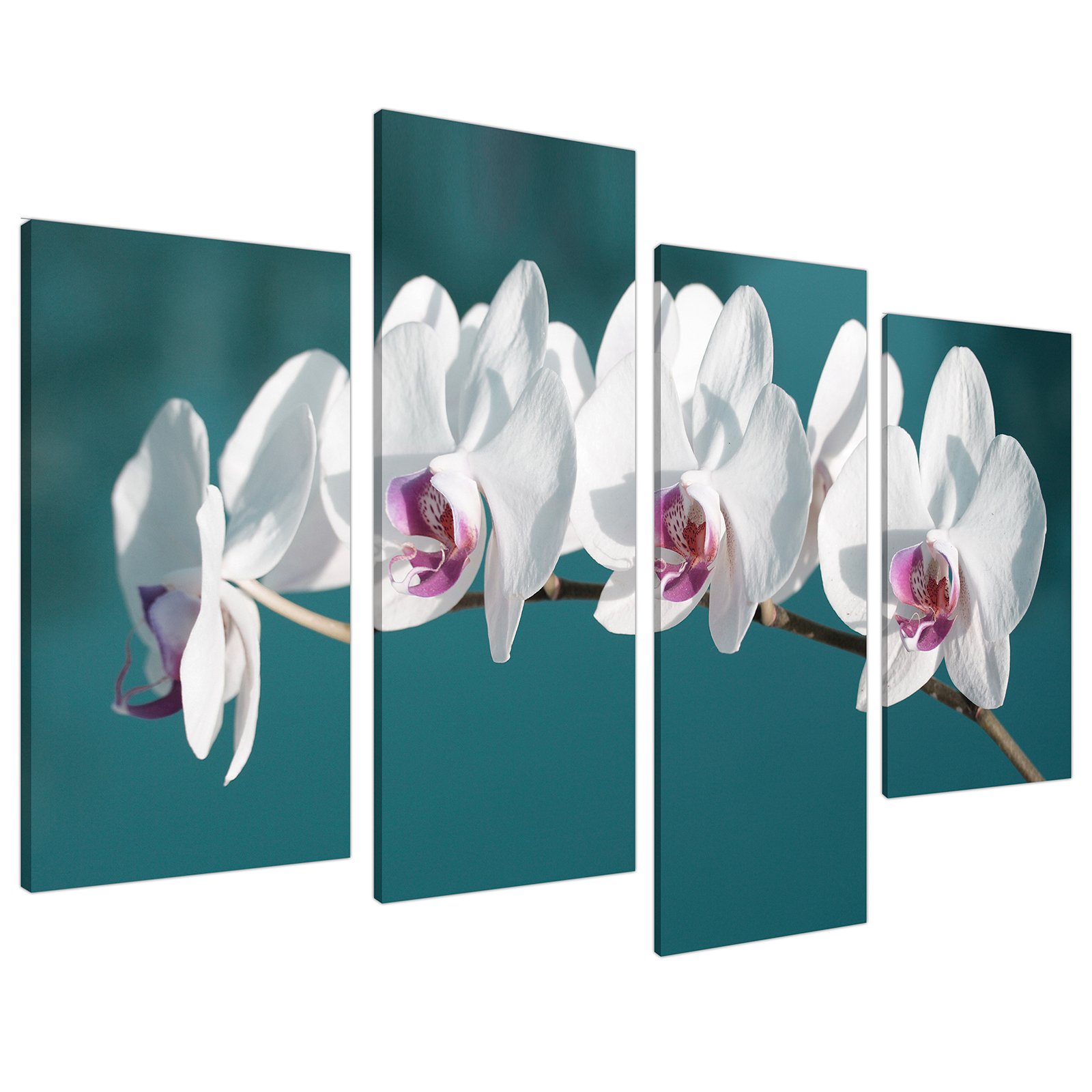 Wallfillers Teal Large White Floral Orchids Canvas Wall Art Prints Pictures 4115