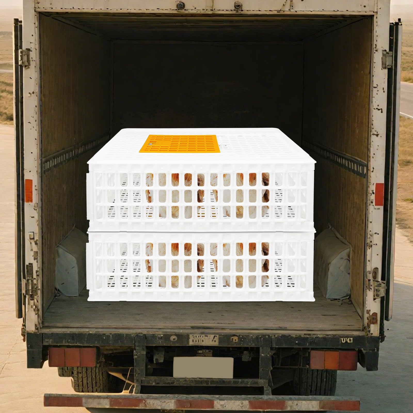 WooDerson Jaula de transporte de plástico para pollos, pollos, cesta para aves de corral, pájaros, patos (blanco, 2 unidades)
