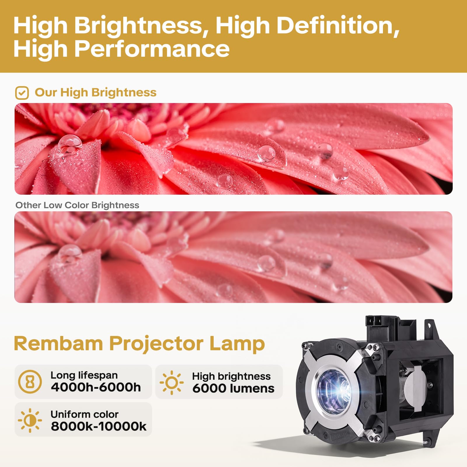 Amazon.co.jp: Rembam NP26LP 高品質交換用プロジェクターランプ