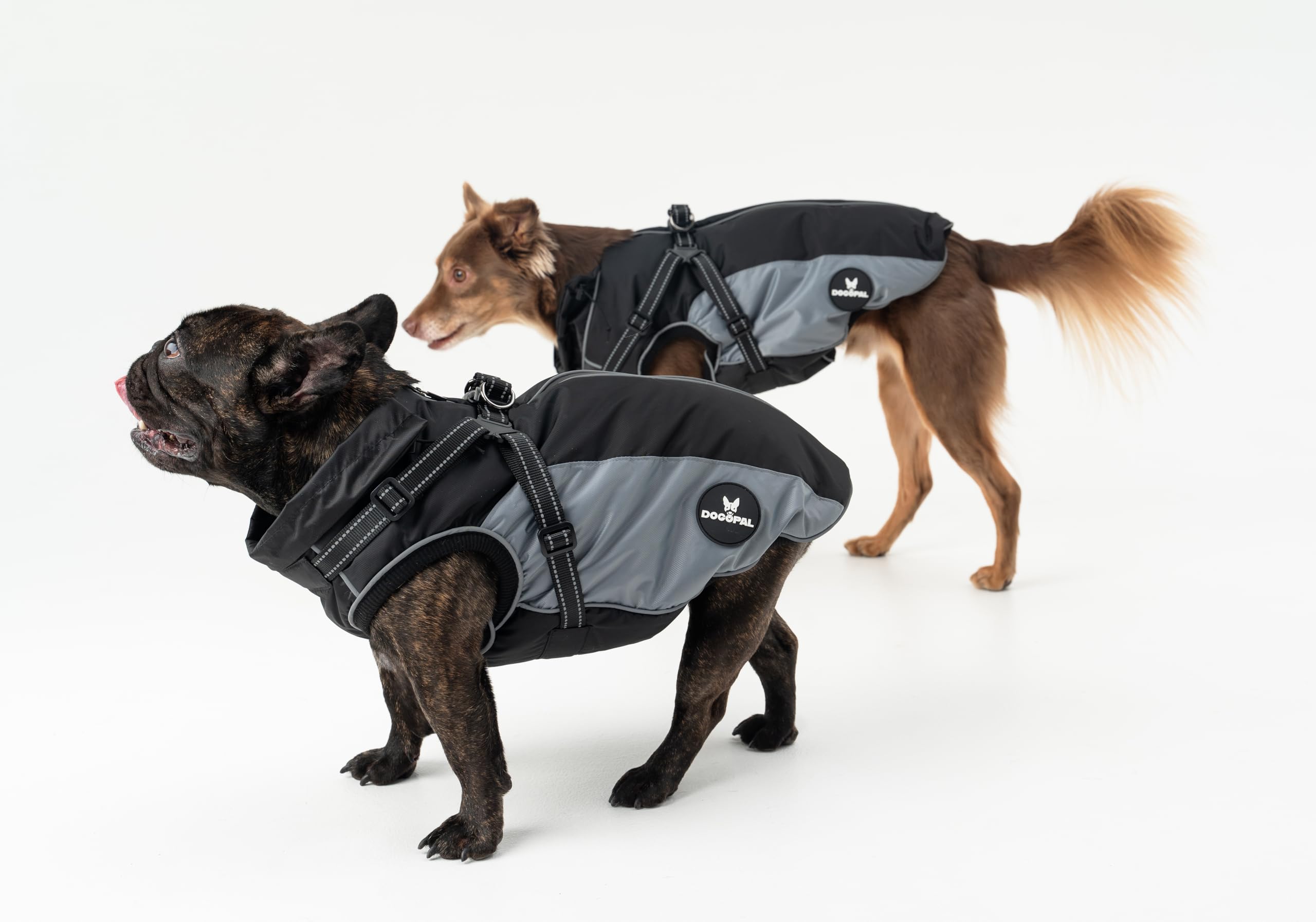 DOGOPAL Manteau Imperméable pour Chien avec Harnais Intégré – Veste de Pluie Réfléchissante, Coupe-Vent et Chaude pour Chien, Veste de Protection pour Petits, Moyens et Grands Chiens (Gris, 45)