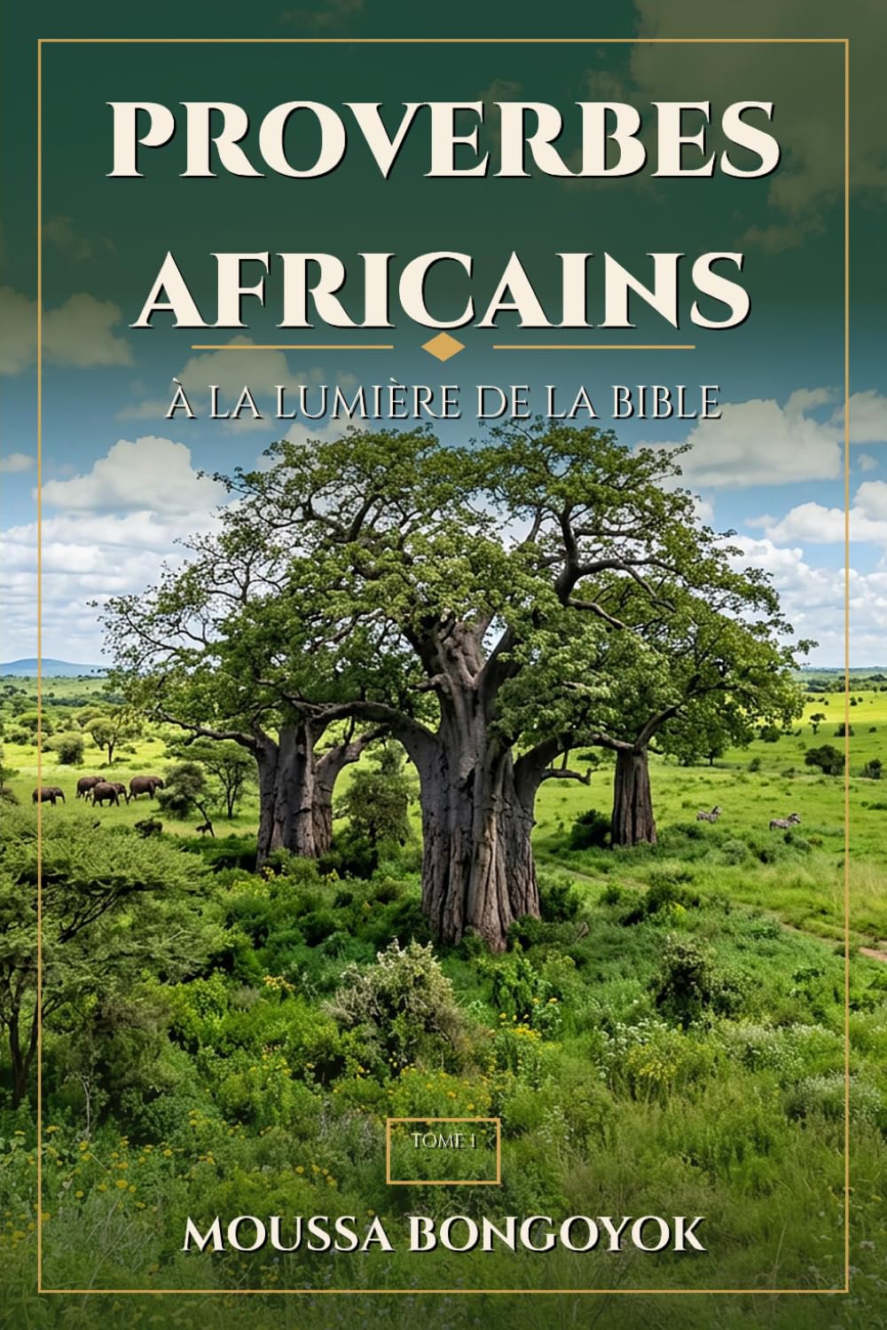 Proverbes Africains: à la lumière de la Bible - Tome 1