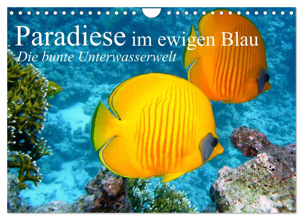 Paradiese im ewigen Blau. Die bunte Unterwasserwelt (Wandkalender 2023 DIN A4 quer): Das bunte Treiben der schönen Lebewesen unter Wasser (Monatskalender, 14 Seiten) (CALVENDO Tiere)