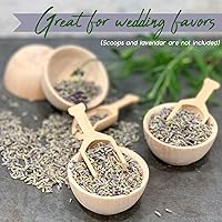 Vista 9 de Chica and Jo Juego de 10 cuencos pequeños de madera sin terminar - Cuencos, tazas de condimentos, saleros (10)