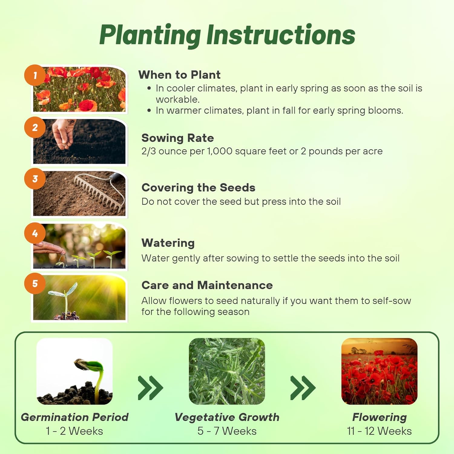 Outsidepride Red Poppy Seeds for Planting - 1 lb. Annual, Drought-Tolerant & Easy to Grow Wildflower Seeds with Vibrant Red Blooms for Landscaping, & Pollinator Garden