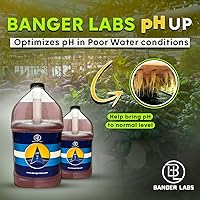 Vista 4 de Solución prémium de pH Up: corrige los desequilibrios de pH, maximiza la absorción de nutrientes, previene las plantas enfermizas, ajuste del pH