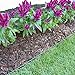 Valley View Innovative Edge No Dig edging 60 feet -with EXTRA anchor nails (48 quantity)