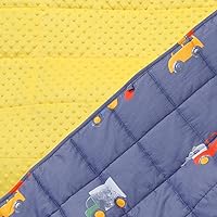 Vista 8 de Uttermara Manta con peso de 3 libras, forro polar minky ultra acogedor y lado de algodón con patrones de dibujos animados, manta pesada reversible