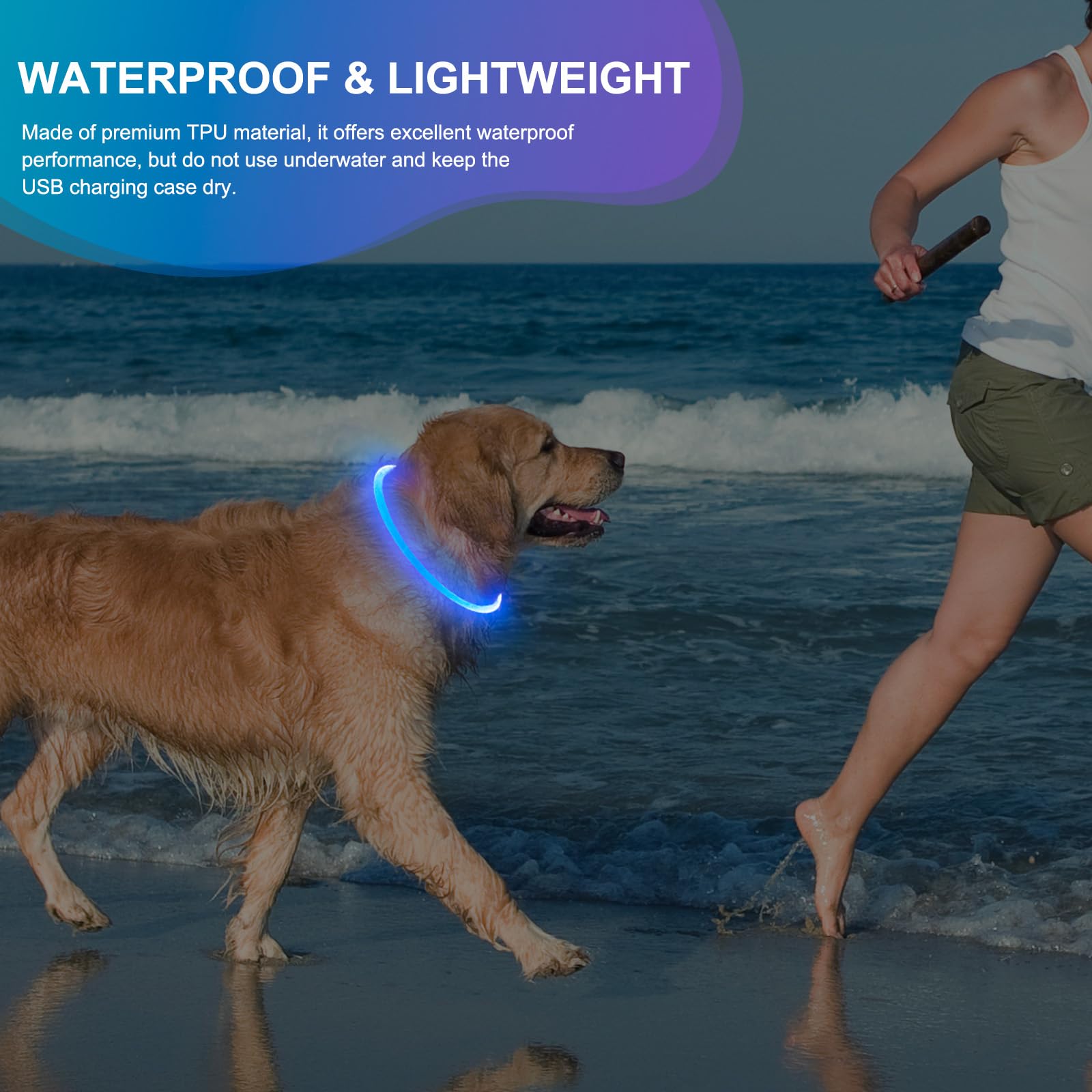 Collar de perro iluminado – Collar de perro LED impermeable recargable, TPU cortable que brilla en la oscuridad, luces de seguridad para perro para caminar por la noche (azul)