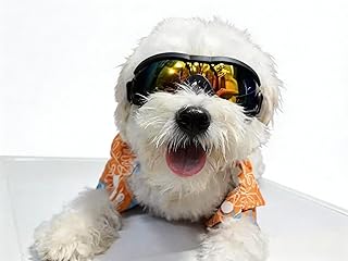 New Pet Dog Sunglasses – Windproof UV Protection Goggles for Small, Medium & Large Dogs, Outdoor Anti-Glare Eye Wear