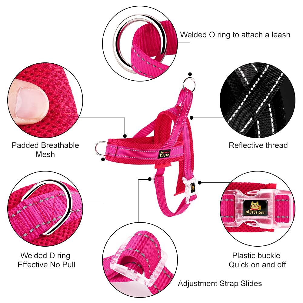 Plutus Pet No Pull Dog Harness With Breathable Mesh Padded | Desertcart  SINGAPORE