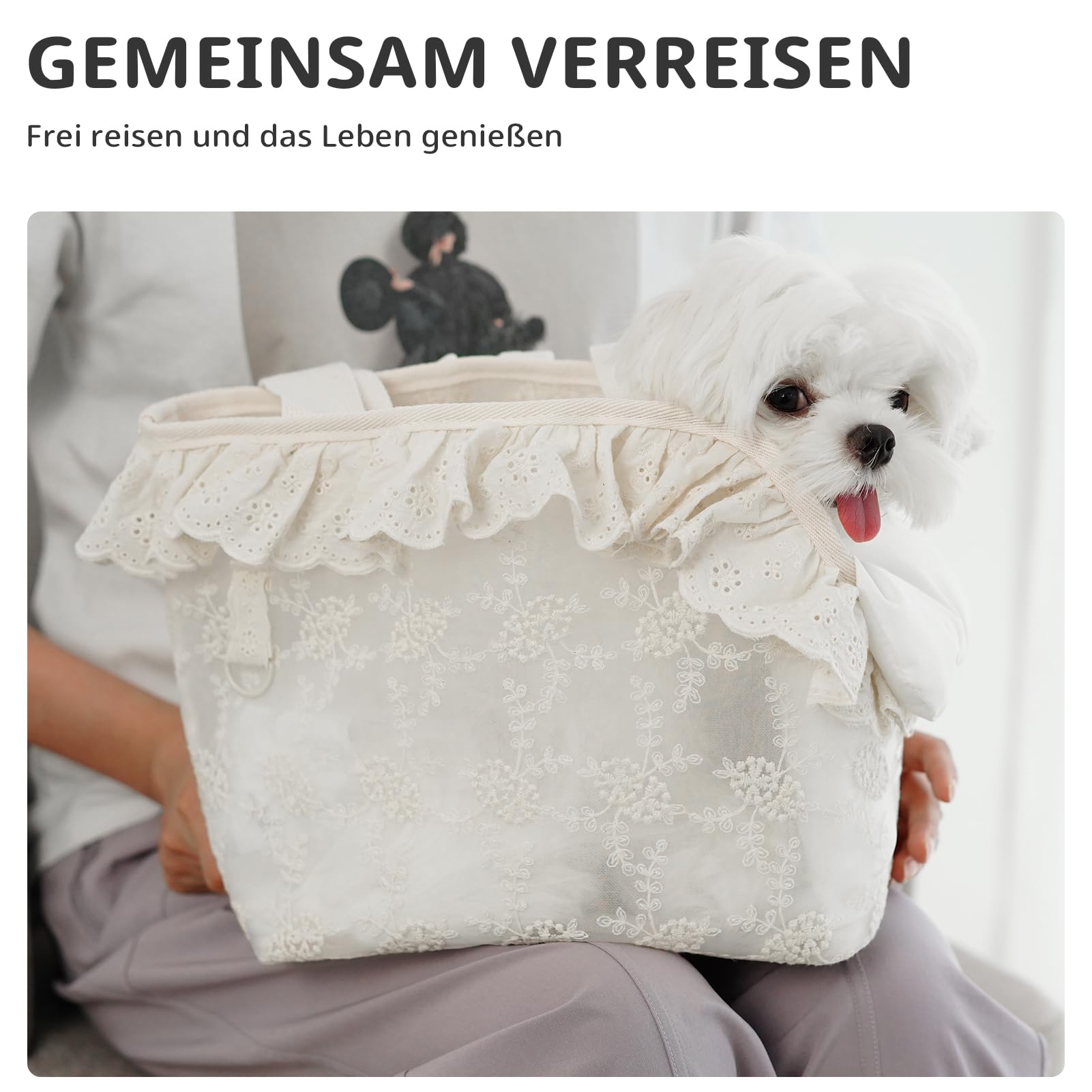 ONECUTE Sac de transport pour chien en dentelle pour chien et chat et lapin Beige (33 x 17 x 27 cm)
