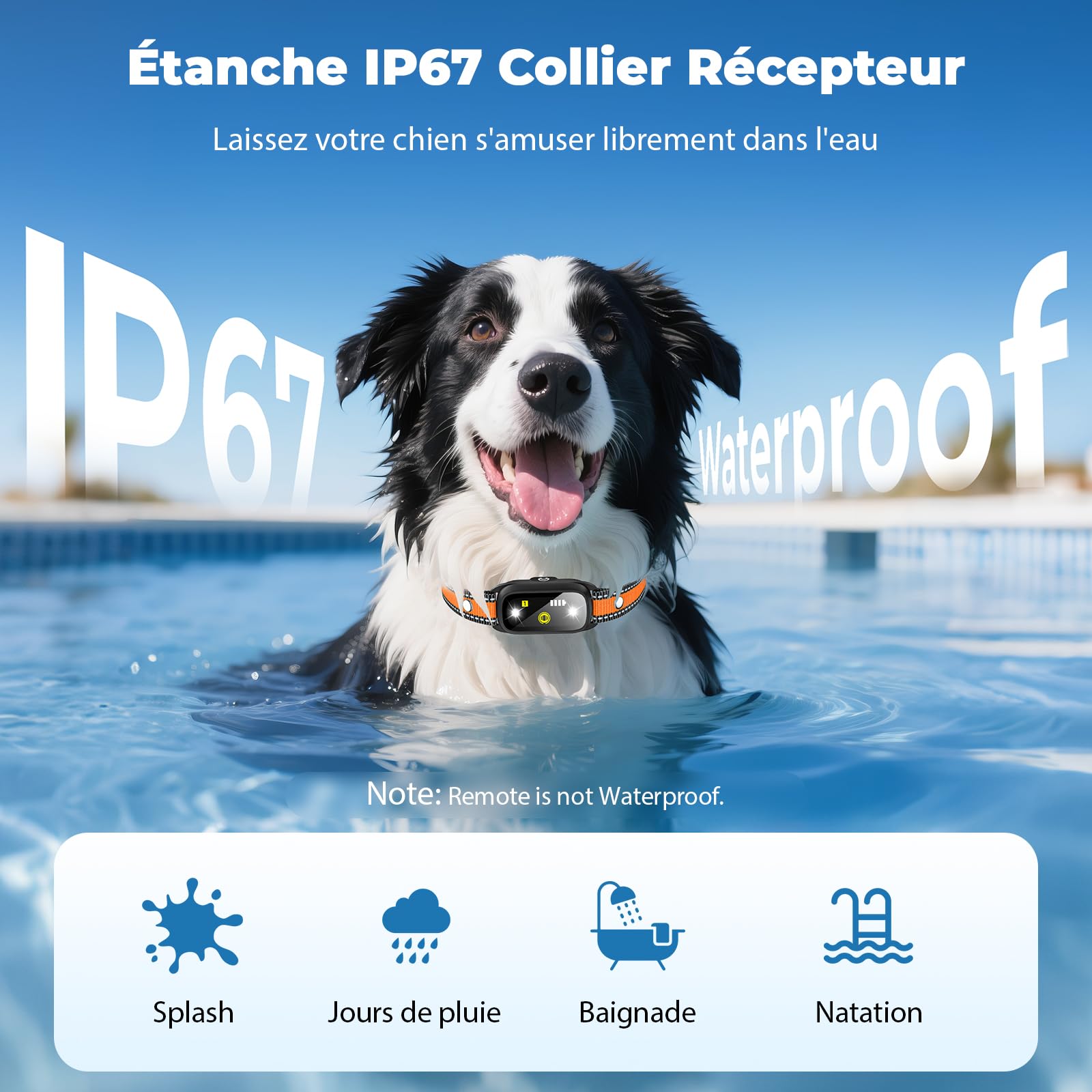 Collier Electrique pour Chien, Collier Dressage Chien avec Télécommande, Portée 1000m, 4 Modes de Dressage (Bip, Vibration, Choc, Lumière), Étanche IP67, Adapté Aux Chiens de Petits et Grands