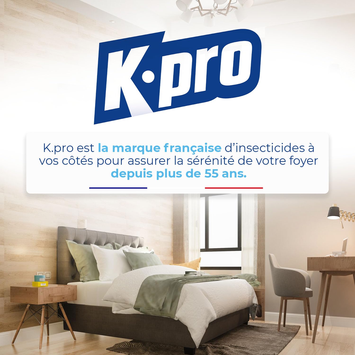 Kapo Fumigène Spécial Infestation Tous Insectes - 60 gr - Idéal pour Eliminer Tous les Insectes - Effet Radical et Longue Durée - pour 130m3