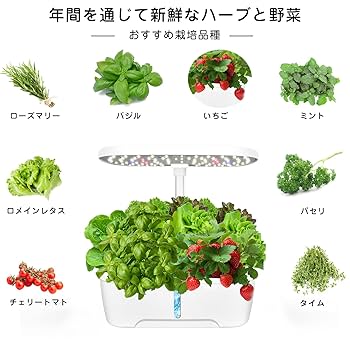 栽培キット optic6 Amazon.co.jp: OUSEITECH 水耕栽培キット 家庭菜園キット 簡単