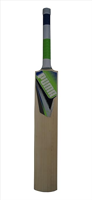 puma evospeed chromium 3500